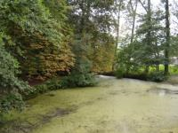 Verhalentocht: Gentbrugse vertellingen