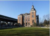 Wandeling over bloemetjes en zwijntjes 12/06