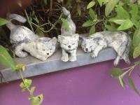 Creaworkshop: Poezen in powertex stone-art 