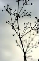 Info en troostbabbels: rouw en verlies