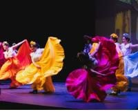 Latino Moves gevorderden 2025-2026